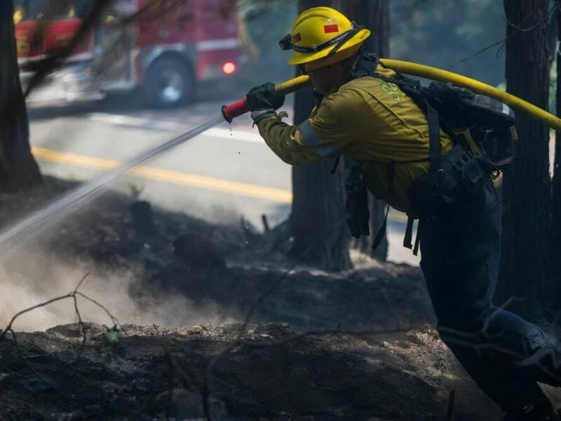 Waldbrände in den USA - Kalifornien