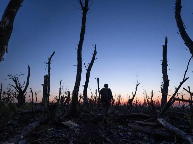 Ukraine-Krieg: Wälder