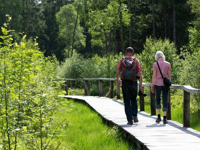 Wanderer im Solling