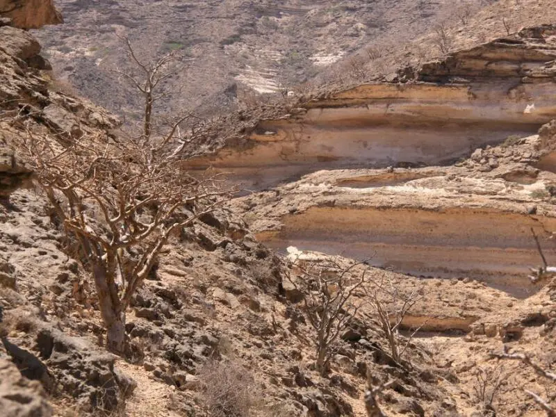 Arabische Welt: Auf der Spur des Weihrauchs im Oman