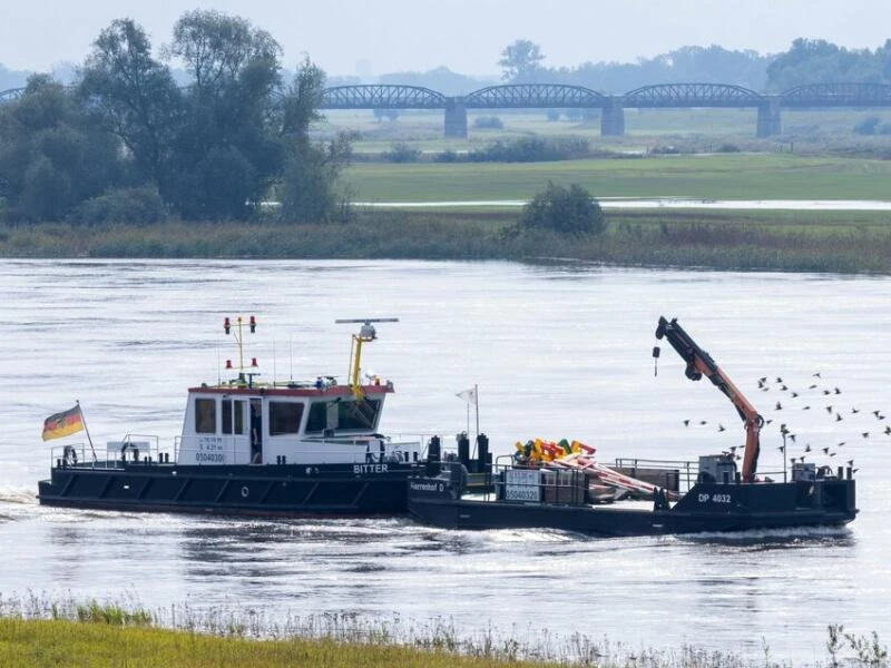 Erhöhte Pegelstände an der Elbe