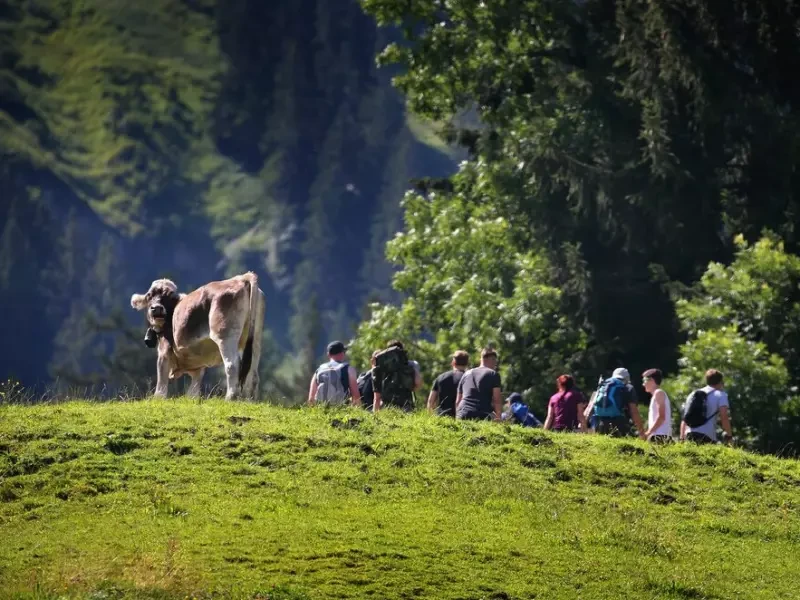 Sommerurlaub in Deutschland