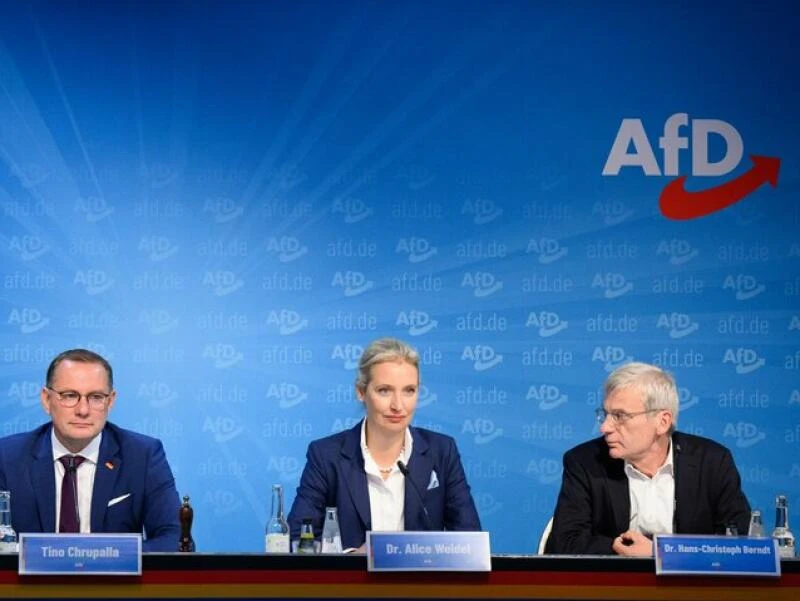 Nach der Landtagswahl in Brandenburg - AfD