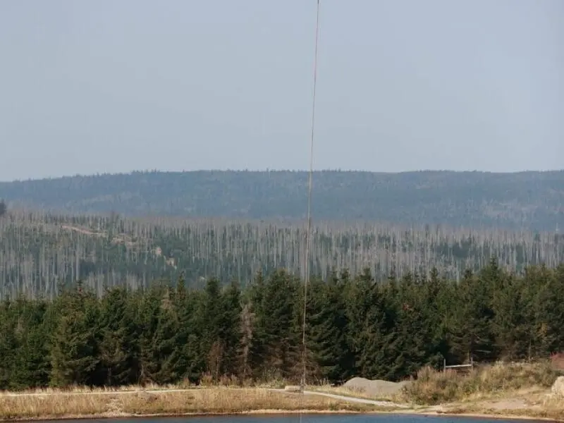 Waldbrände am Brocken