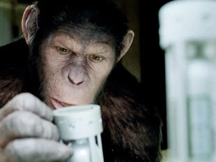 Planet der Affen: In dieser Reihenfolge schaust Du die Filme