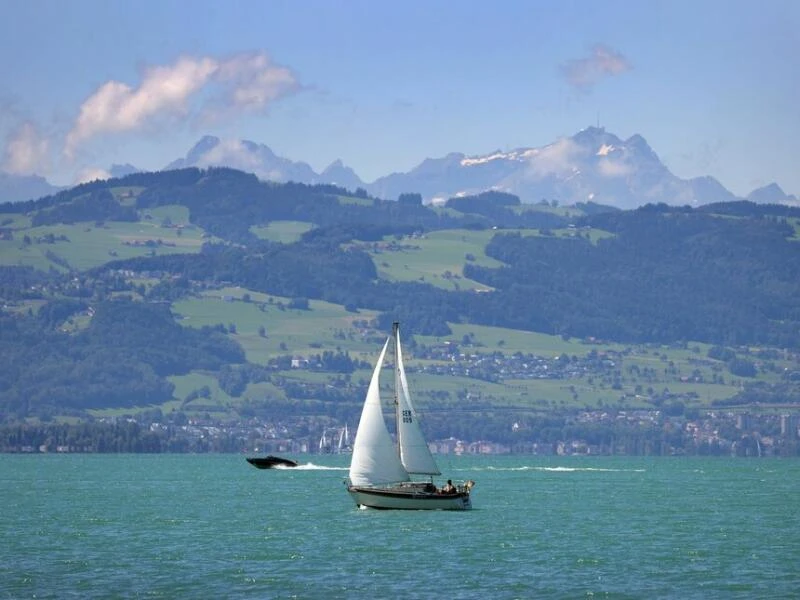 Bodensee bei Bregenz mit Blick auf Appenzell und Säntis