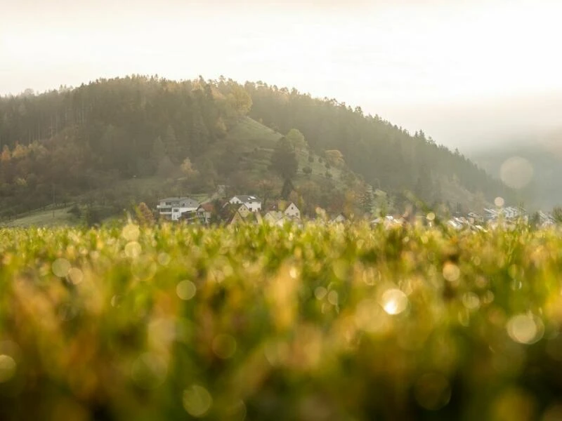 Herbst in Baden-Württemberg