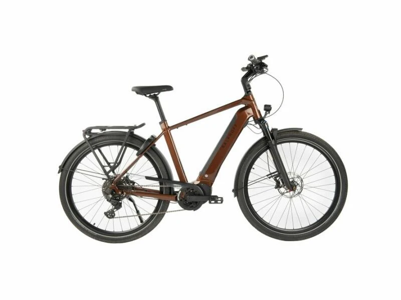 Trekking-E-Bike: Kalkhoff Endeavour 5 Advance+