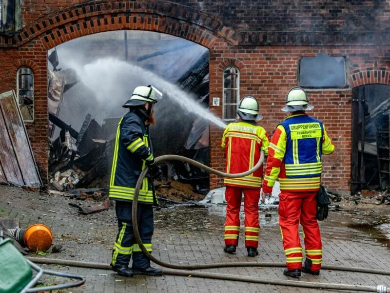 20 Rinder sterben bei Großbrand auf Bauernhof