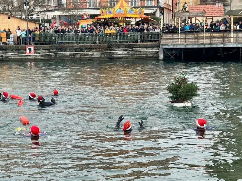 Nikolausschwimmen im Bodensee