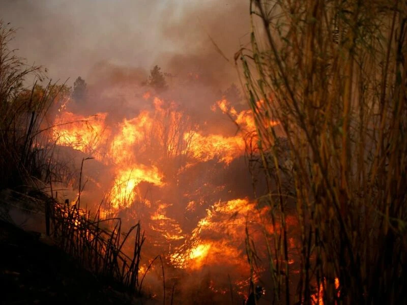 Großbrand nahe Athen