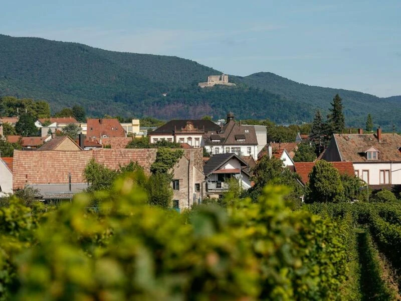 Gastgeber 2027: Neustadt an der Weinstraße