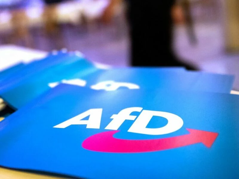 Fahne mit AfD-Logo