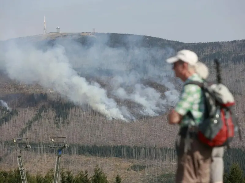 Waldbrände am Brocken