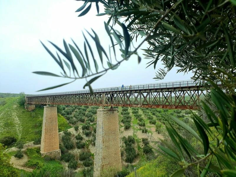 Ein Viadukt in Andalusien