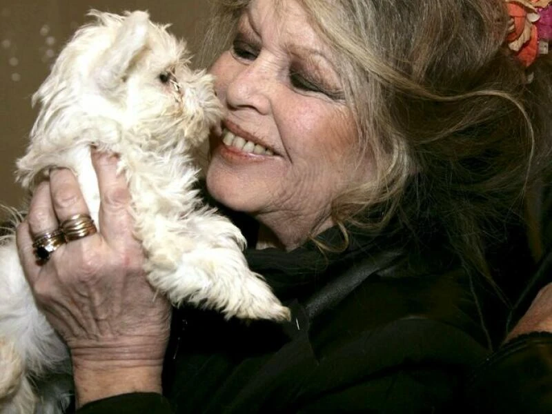 Brigitte Bardot wird 90