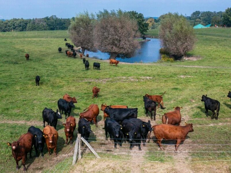 17. Bio-Landpartie in Mecklenburg-Vorpommern