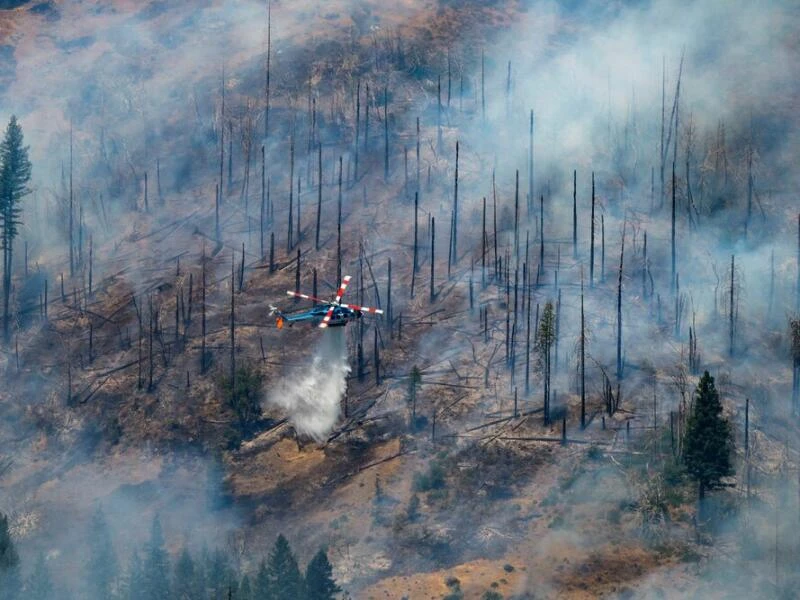 Waldbrände in den USA - Kalifornien