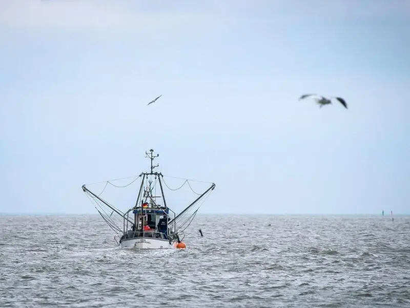 Zukunftspakt für Küstenfischerei gefordert