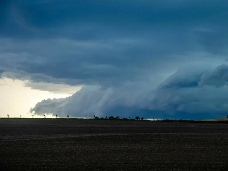 Örtliche Gewitter teils mit Starkregen in Sachsen-Anhalt