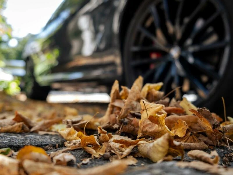 Herbstlaub liegt am Strassenrand neben einem parkenden Auto