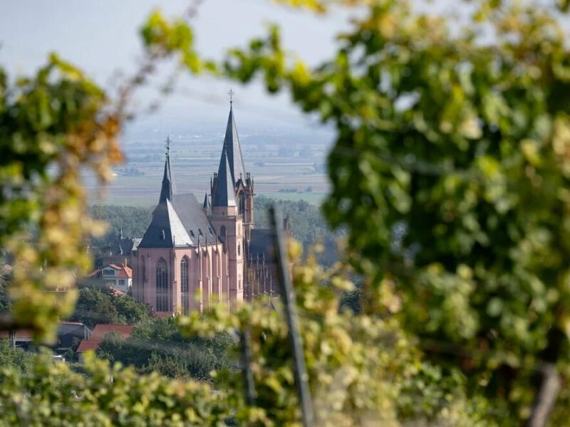 Katharinenkirche Oppenheim