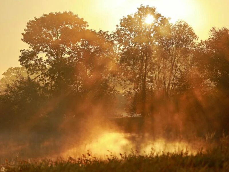 Wetter in Sachsen-Anhalt