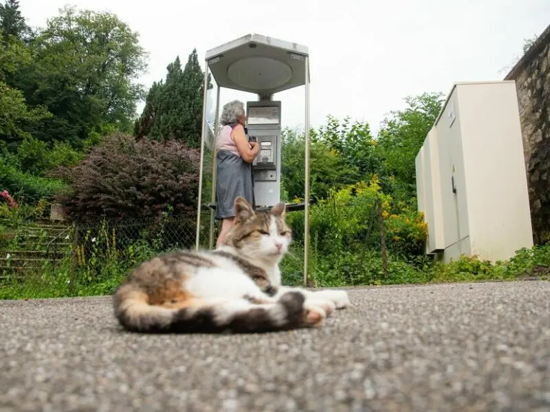 Telefonzelle in Frankreich.