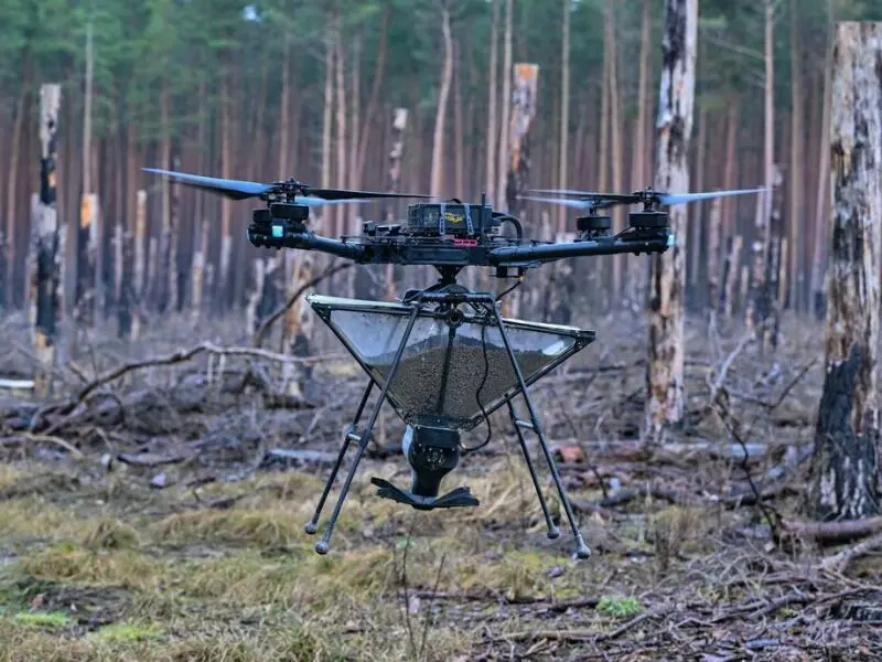 Drohne mit Baumsamen