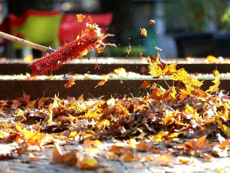 Herbstlaub wird von einem Gehweg beseitigt