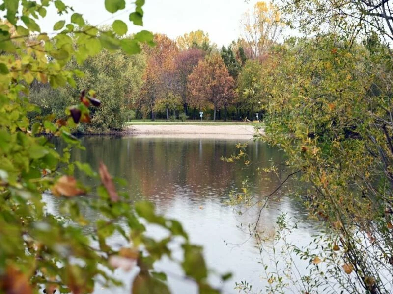 Baggersee Germersheim