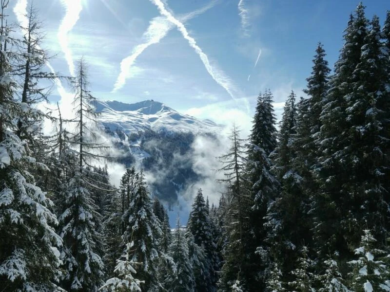 Bergpanorama mit verschneiten Tannen und Kondensstreifen