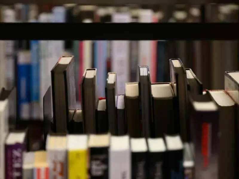 Bücher stehen in einer Bibliothek in Regalen