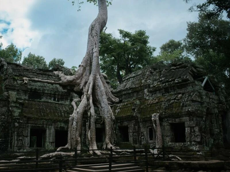 Tempelanlage Ta Prohm in Kambodscha