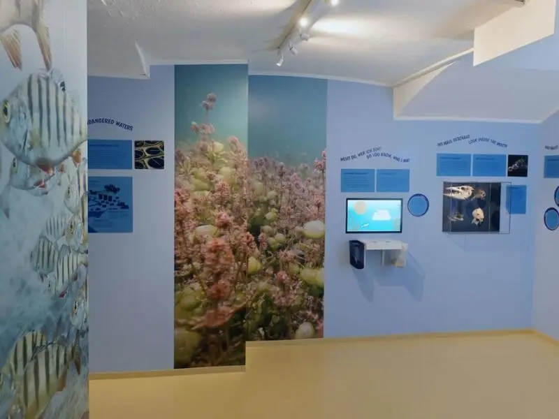 Aquarium im Naturkundemuseum Potsdam