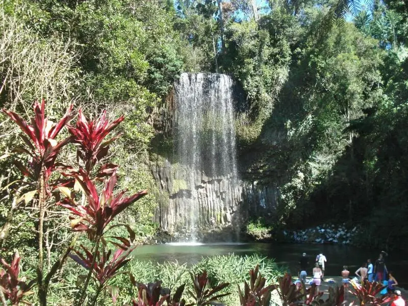 Millaa Millaa Falls