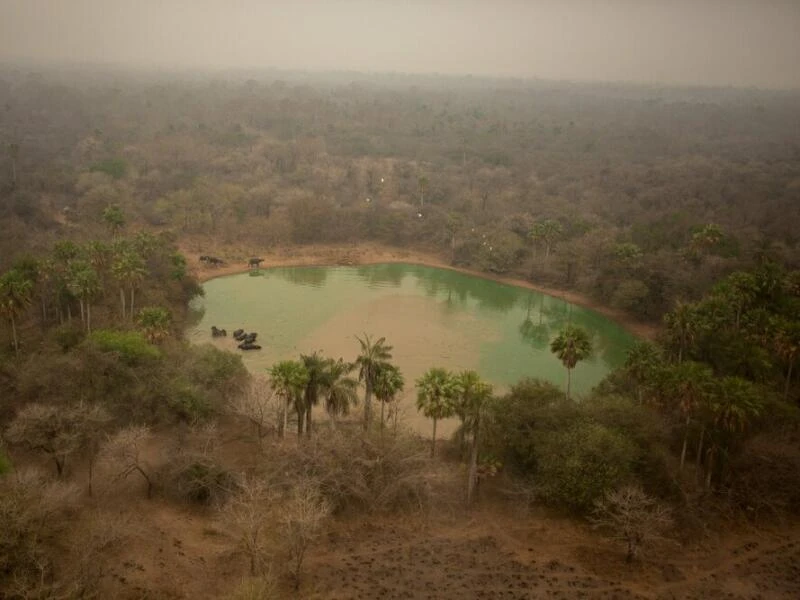 Indigene Feuerwehrleute kämpfen in Brasilien um ihr Territorium