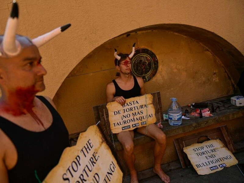 Stierläufe in Spanien - Protest von Tierschützern