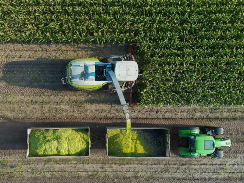 Erntebilanz im Land Brandenburg