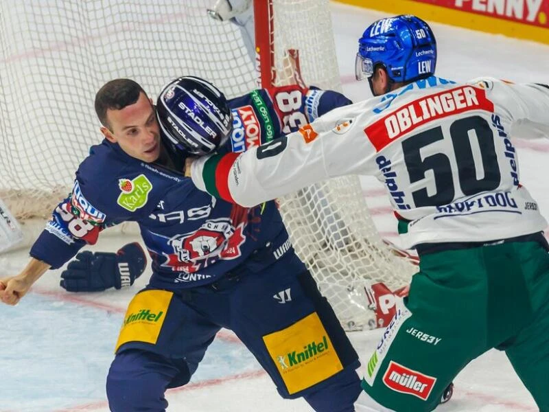 Eisbären Berlin - Augsburger Panther