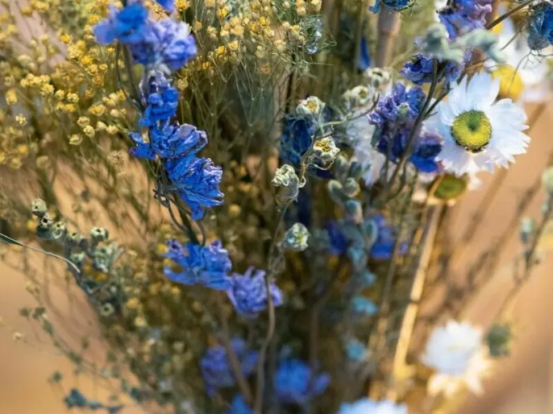 Ein Strauß getrockneter Wiesenblumen