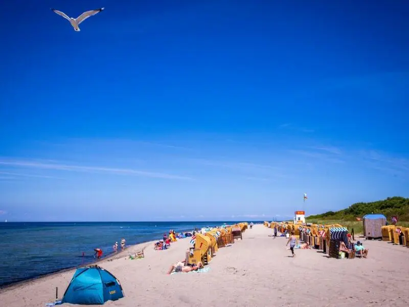 Sommer an der Ostseeküste
