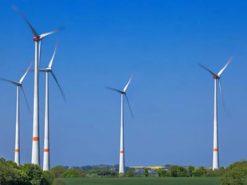 Entwicklung der Windenergie in Mecklenburg-Vorpommern