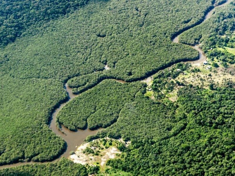 Rodung im brasilianischen Amazonasgebiet