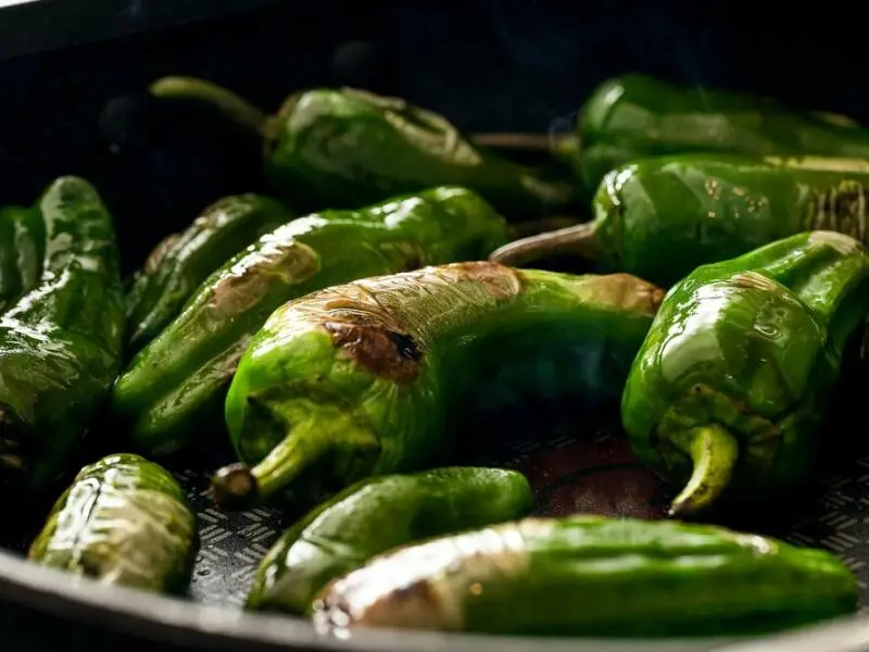 Pimientos de Padrón