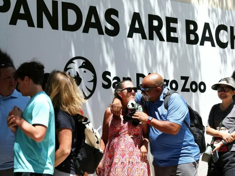 «Panda Ridge» im San Diego Zoo