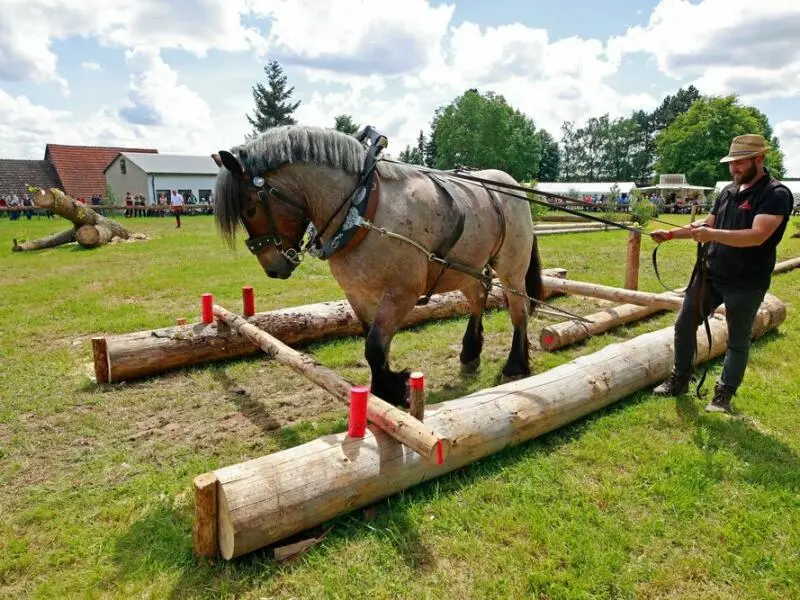 Meisterschaft im Holzrücken