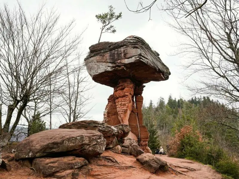 Der sogenannte Teufelstisch im Pfälzerwald