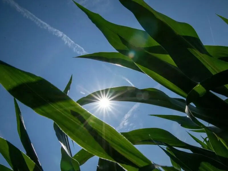 Sommerwetter in Nordbayern