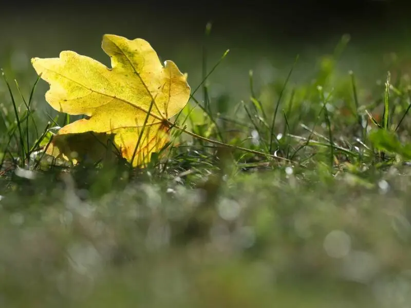 Wetter in Baden-Württemberg